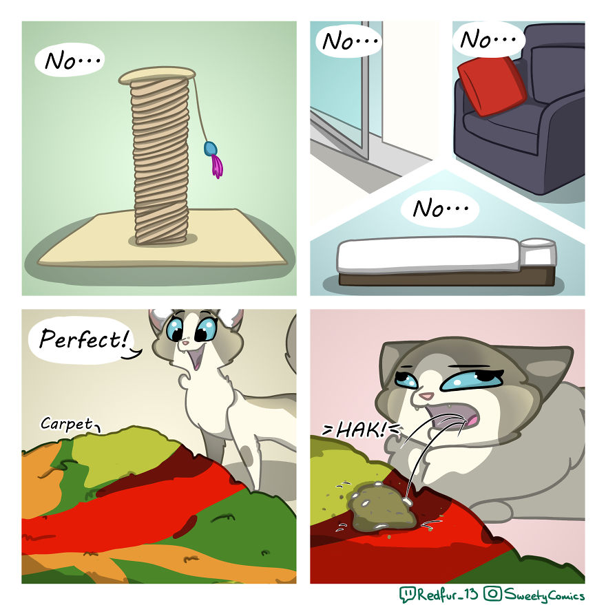 My 26 Comics That You Will Probably Relate To If You Have A Cat My 26 Comics That You Will Probably Relate To If You Have A Cat