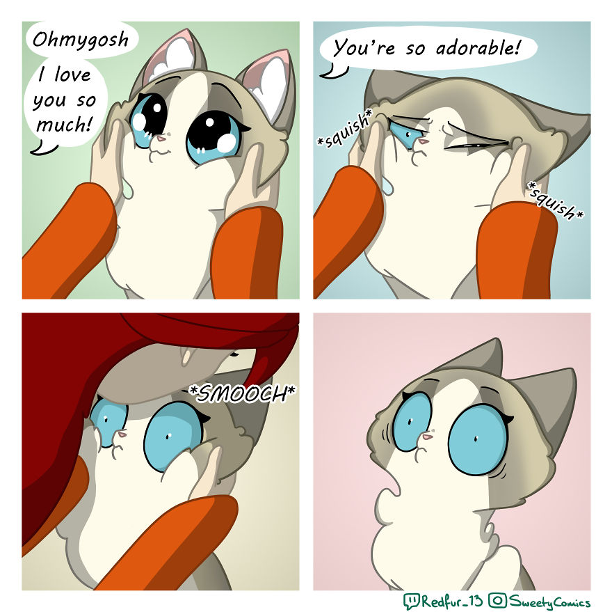 My 26 Comics That You Will Probably Relate To If You Have A Cat My 26 Comics That You Will Probably Relate To If You Have A Cat