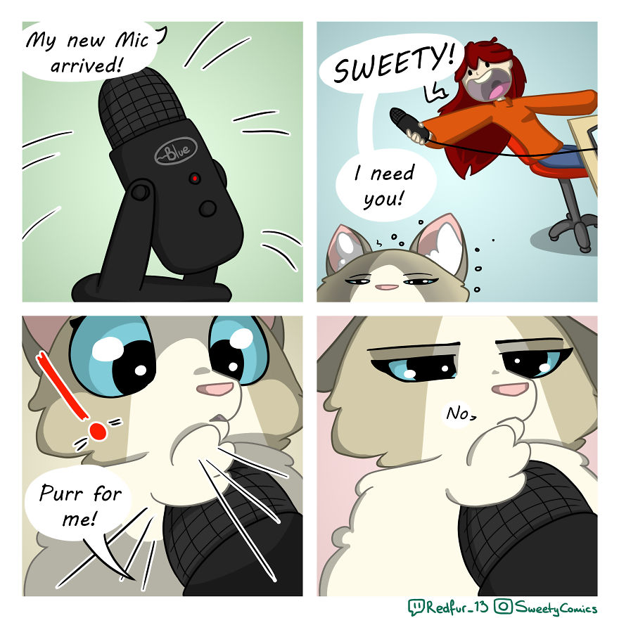 My 26 Comics That You Will Probably Relate To If You Have A Cat My 26 Comics That You Will Probably Relate To If You Have A Cat