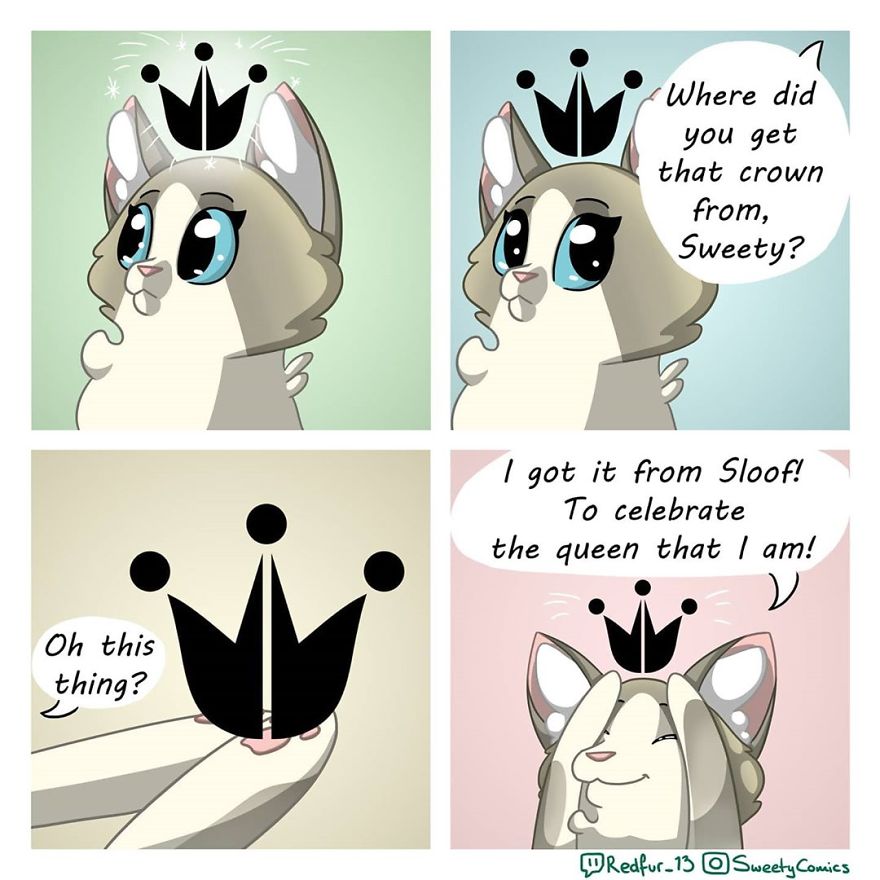 My 26 Comics That You Will Probably Relate To If You Have A Cat My 26 Comics That You Will Probably Relate To If You Have A Cat