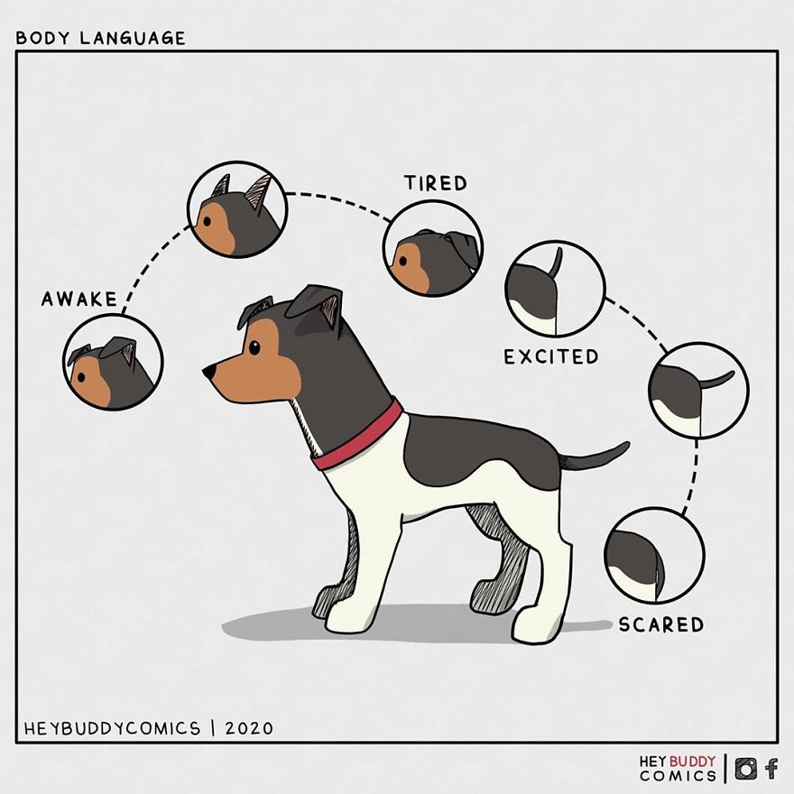 My Comics Are Inspired By My Dog And Most Dog Owners Will Relate To Them (34 New Pics)