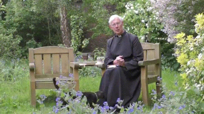 Pussycat Disappears Inside A Priest&#8217;s Cassock, Hilarious Comments Ensue