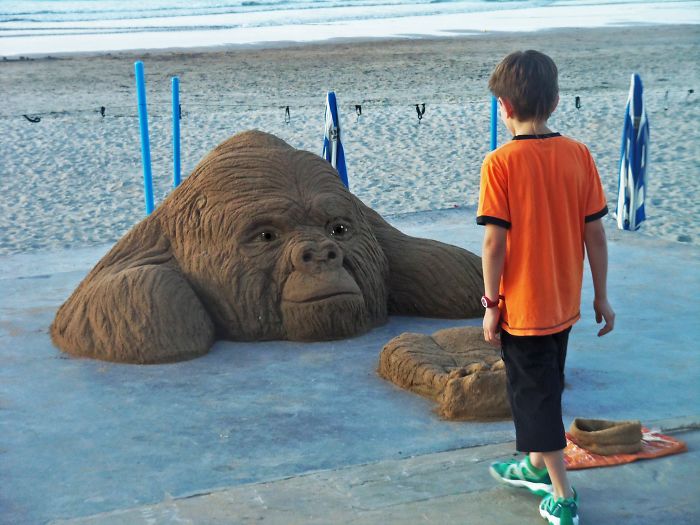 Sand Artist Creates Detailed Sculptures That You Could Easily Mistake For Live Animals If You Saw Them From A Distance Sand Artist Creates Detailed Sculptures That You Could Easily Mistake For Live Animals If You Saw Them From A Distance