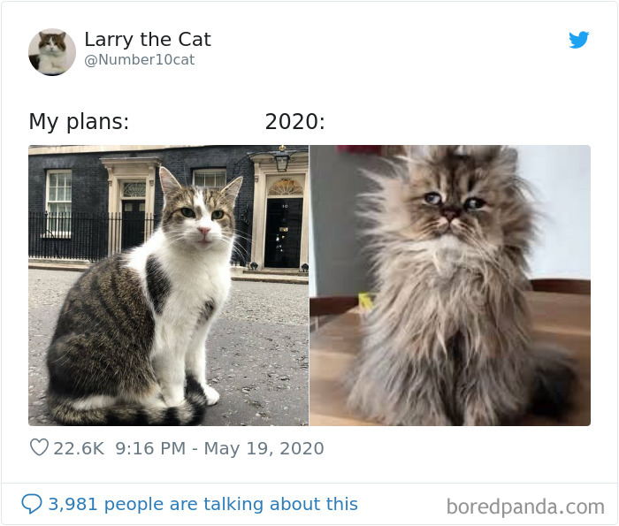 People Make Hilarious “My Plans vs. 2020” Memes And Here Are 30 Of Them People Make Hilarious “My Plans vs. 2020” Memes And Here Are 30 Of Them