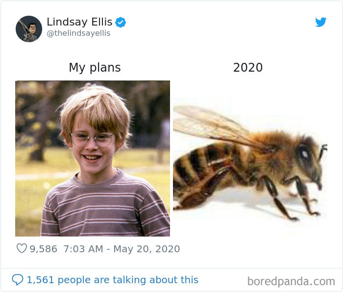 People Make Hilarious “My Plans vs. 2020” Memes And Here Are 30 Of Them People Make Hilarious “My Plans vs. 2020” Memes And Here Are 30 Of Them