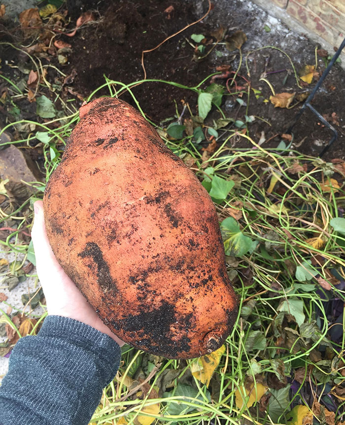 50 Times People Absolutely Won The Food Lottery (New Pics) 50 Times People Absolutely Won The Food Lottery (New Pics)