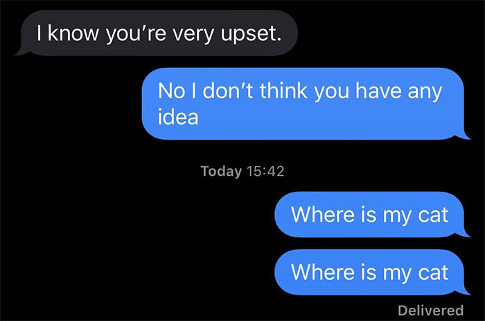 Person Has Their Parents Watch Their Cat During Their First Year Of College, Parents Secretly Give It Away Person Has Their Parents Watch Their Cat During Their First Year Of College, Parents Secretly Give It Away