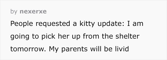 Person Has Their Parents Watch Their Cat During Their First Year Of College, Parents Secretly Give It Away Person Has Their Parents Watch Their Cat During Their First Year Of College, Parents Secretly Give It Away