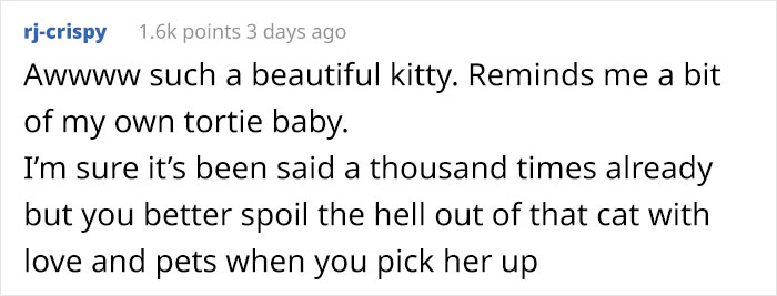 Person Has Their Parents Watch Their Cat During Their First Year Of College, Parents Secretly Give It Away Person Has Their Parents Watch Their Cat During Their First Year Of College, Parents Secretly Give It Away