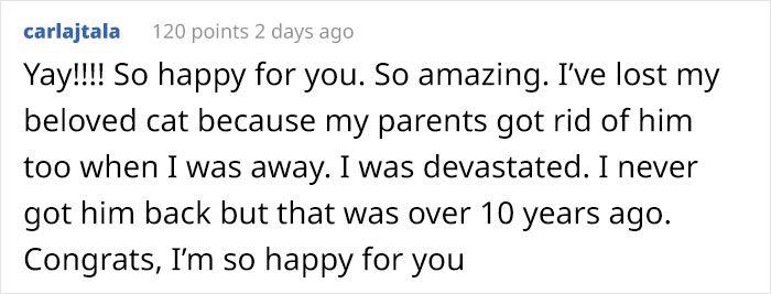 Person Has Their Parents Watch Their Cat During Their First Year Of College, Parents Secretly Give It Away Person Has Their Parents Watch Their Cat During Their First Year Of College, Parents Secretly Give It Away