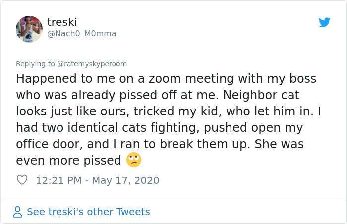 Reporter Can Barely Contain Herself After Her Cats Start Fighting In The Middle Of A Live Broadcast Reporter Can Barely Contain Herself After Her Cats Start Fighting In The Middle Of A Live Broadcast