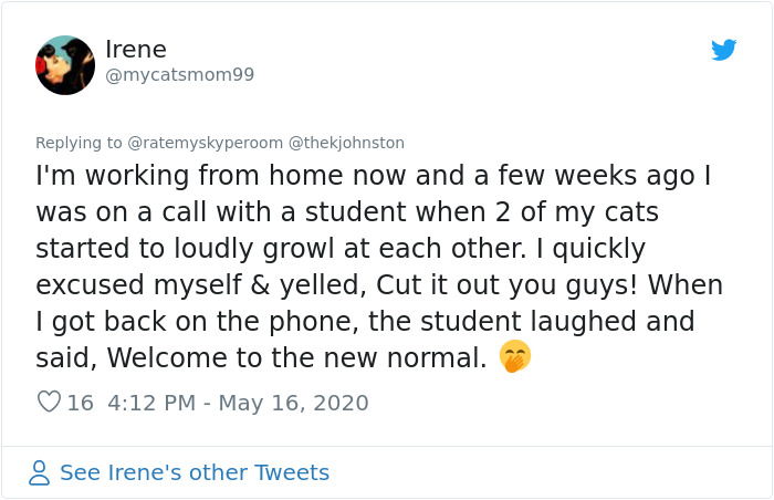 Reporter Can Barely Contain Herself After Her Cats Start Fighting In The Middle Of A Live Broadcast Reporter Can Barely Contain Herself After Her Cats Start Fighting In The Middle Of A Live Broadcast