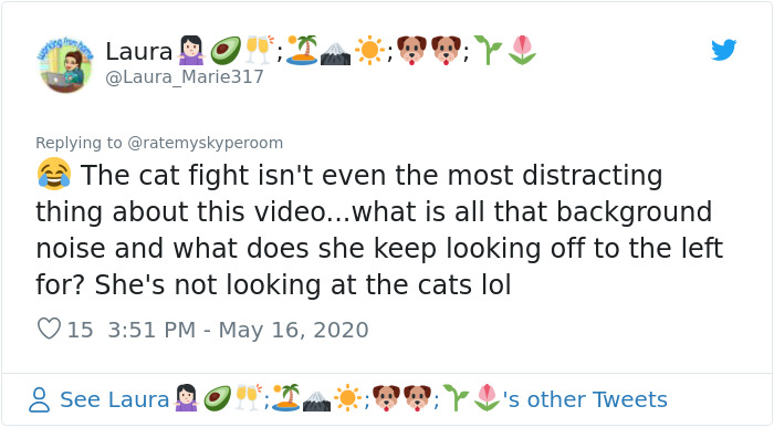 Reporter Can Barely Contain Herself After Her Cats Start Fighting In The Middle Of A Live Broadcast Reporter Can Barely Contain Herself After Her Cats Start Fighting In The Middle Of A Live Broadcast