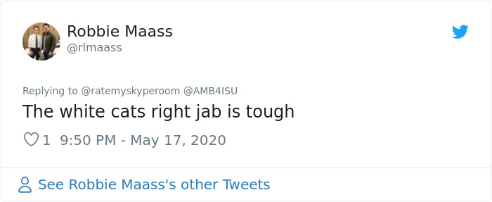 Reporter Can Barely Contain Herself After Her Cats Start Fighting In The Middle Of A Live Broadcast Reporter Can Barely Contain Herself After Her Cats Start Fighting In The Middle Of A Live Broadcast