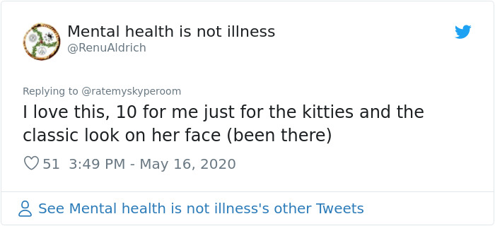 Reporter Can Barely Contain Herself After Her Cats Start Fighting In The Middle Of A Live Broadcast Reporter Can Barely Contain Herself After Her Cats Start Fighting In The Middle Of A Live Broadcast