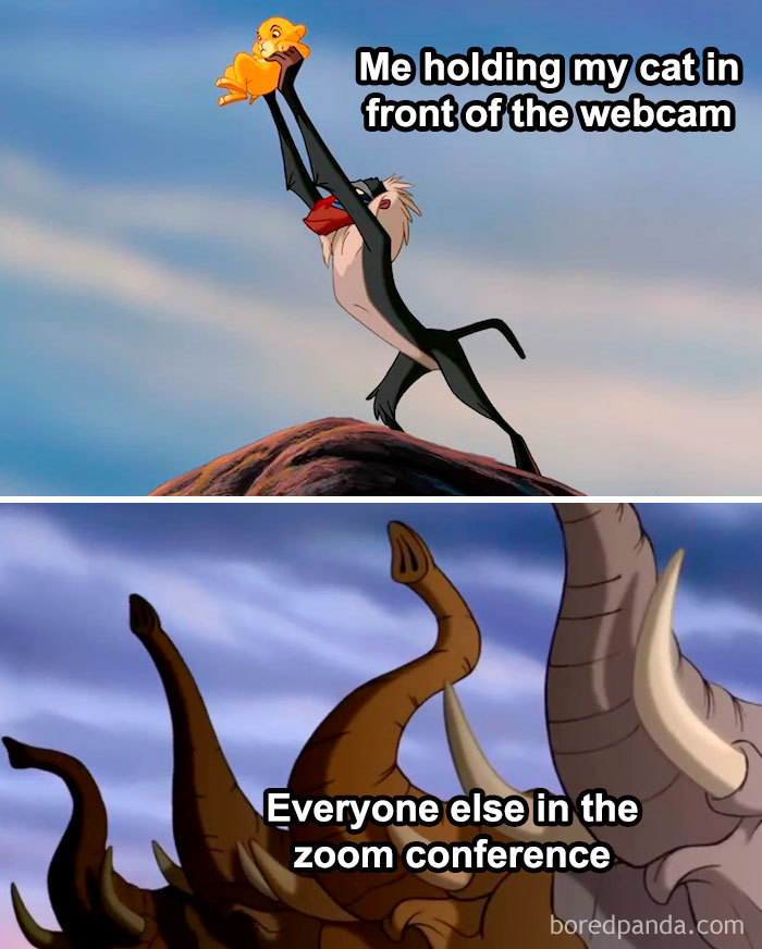 People Can’t Stop Posting Corona Jokes And Here Are 40 Of The Best Ones This Week People Can’t Stop Posting Corona Jokes And Here Are 40 Of The Best Ones This Week