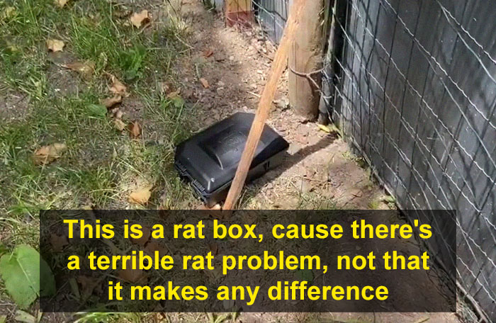 Guy Films A Hilarious Apartment Tour For His Letting Agent After Being Forced Out Of It By The Landlord, Doesn’t Let Any Problem Go Unnoticed Guy Films A Hilarious Apartment Tour For His Letting Agent After Being Forced Out Of It By The Landlord, Doesn’t Let Any Problem Go Unnoticed