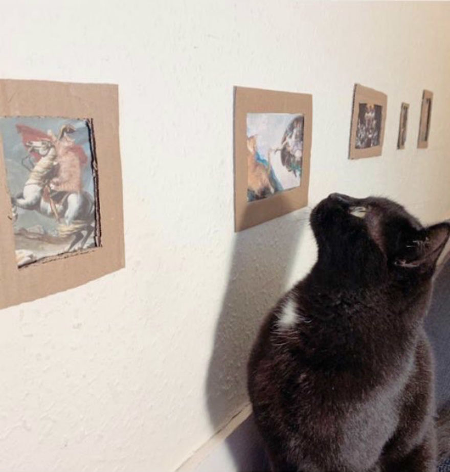 Cat Gets Injured And Can’t Leave Home So His Owner Makes Him Art Gallery To Cheer Him Up Cat Gets Injured And Can’t Leave Home So His Owner Makes Him Art Gallery To Cheer Him Up