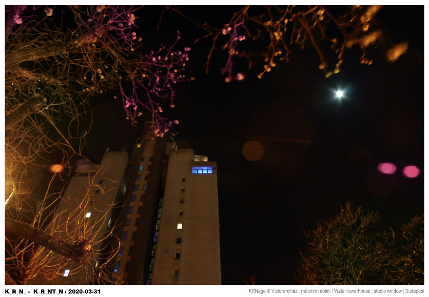 While I’m Stuck In Quarantine, I Started An Art Project On My Windows While I’m Stuck In Quarantine, I Started An Art Project On My Windows