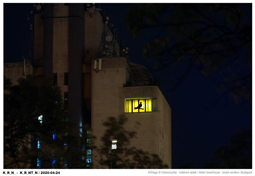 While I’m Stuck In Quarantine, I Started An Art Project On My Windows While I’m Stuck In Quarantine, I Started An Art Project On My Windows