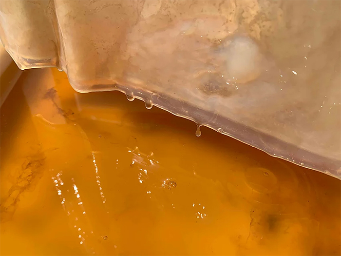 Design Duo Creates A Home-Grown Biodegradable Mask From Bacteria Design Duo Creates A Home-Grown Biodegradable Mask From Bacteria