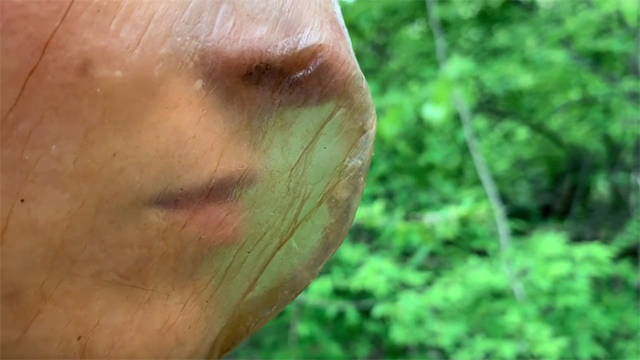 Design Duo Creates A Home-Grown Biodegradable Mask From Bacteria Design Duo Creates A Home-Grown Biodegradable Mask From Bacteria