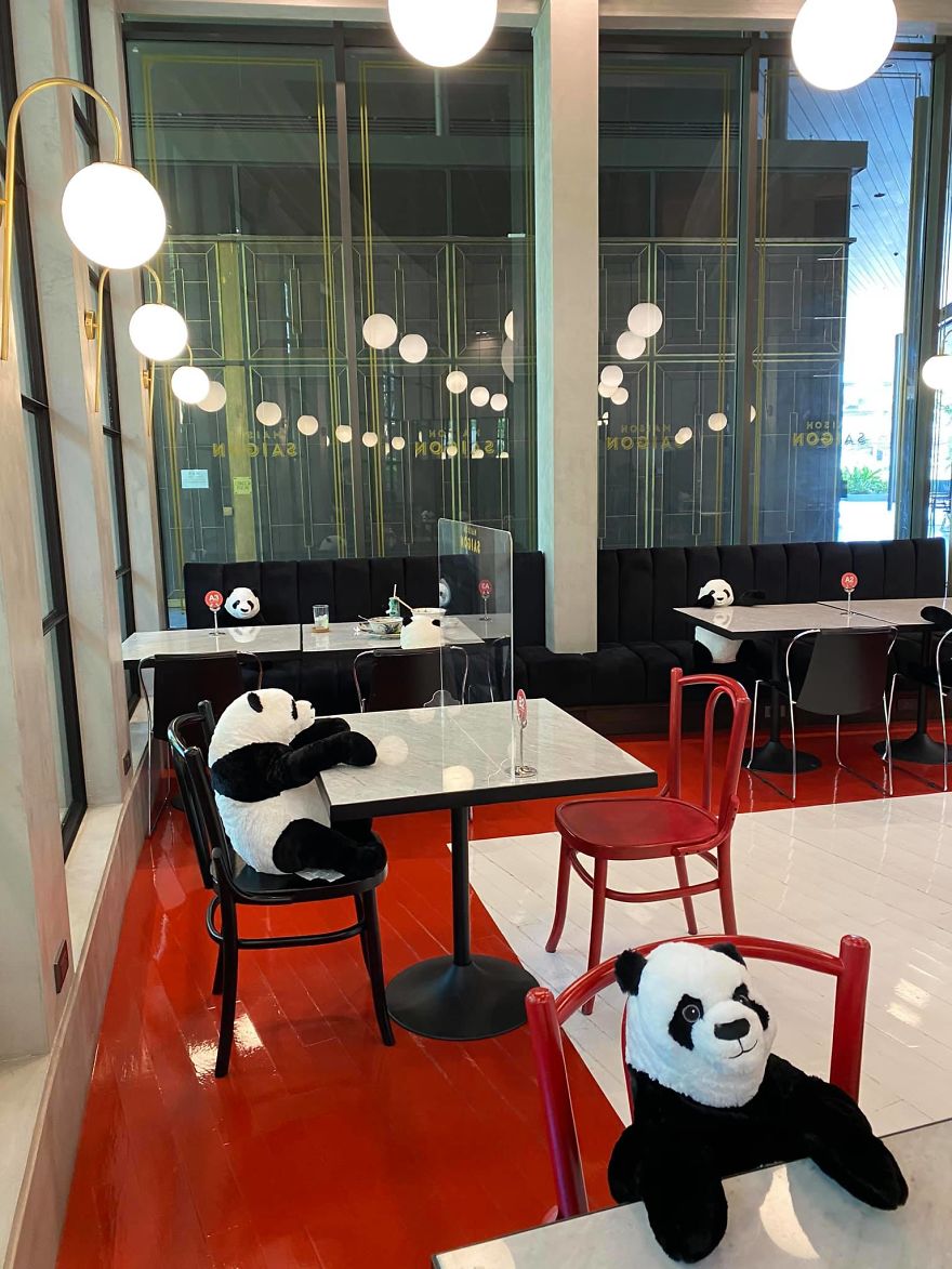 Restaurant Finds A Genius Way To Help Their Customers Feel Less Lonely While Social Distancing Using Pandas (10 Pics) Restaurant Finds A Genius Way To Help Their Customers Feel Less Lonely While Social Distancing Using Pandas (10 Pics)
