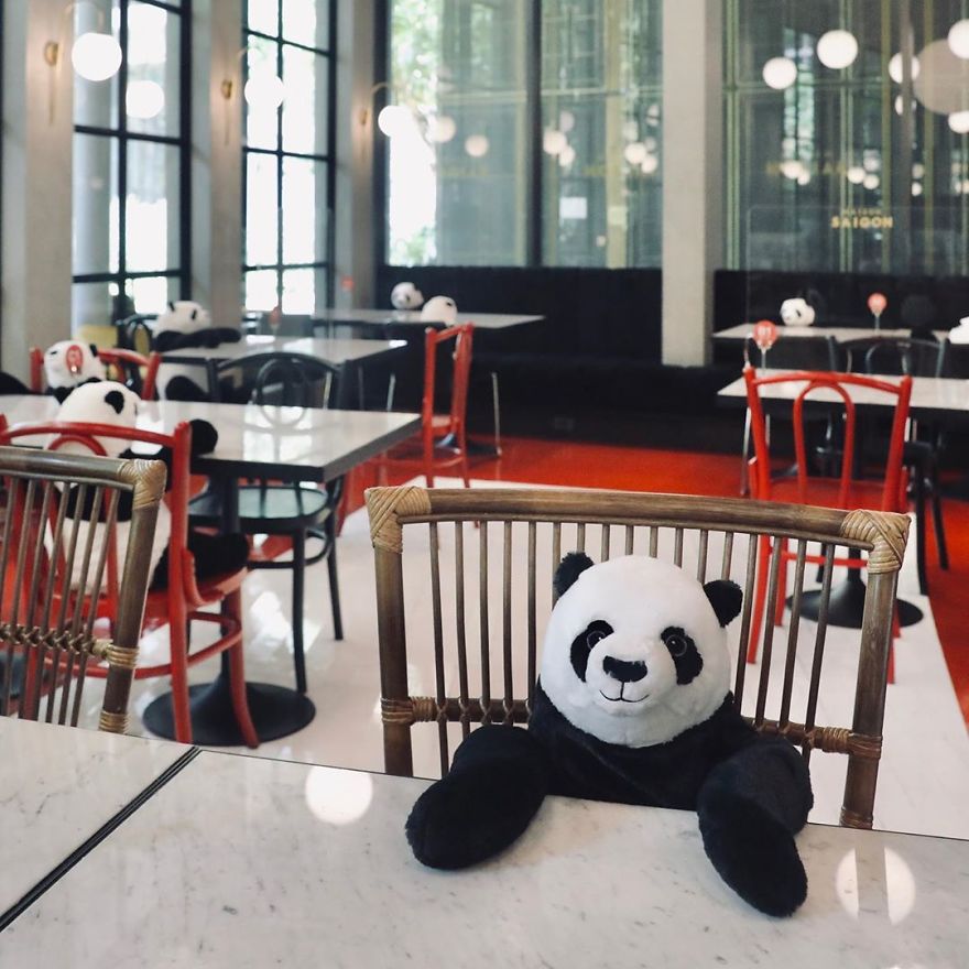 Restaurant Finds A Genius Way To Help Their Customers Feel Less Lonely While Social Distancing Using Pandas (10 Pics) Restaurant Finds A Genius Way To Help Their Customers Feel Less Lonely While Social Distancing Using Pandas (10 Pics)