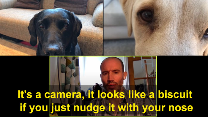 BBC Sports Broadcaster Stuck With Nothing To Report Decides To Hold A Meeting With His Two Dogs And The Video Goes Viral BBC Sports Broadcaster Stuck With Nothing To Report Decides To Hold A Meeting With His Two Dogs And The Video Goes Viral