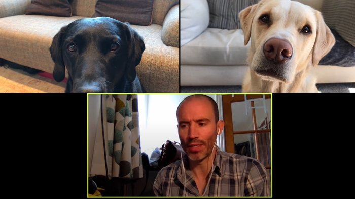 BBC Sports Broadcaster Stuck With Nothing To Report Decides To Hold A Meeting With His Two Dogs And The Video Goes Viral BBC Sports Broadcaster Stuck With Nothing To Report Decides To Hold A Meeting With His Two Dogs And The Video Goes Viral