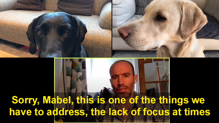 BBC Sports Broadcaster Stuck With Nothing To Report Decides To Hold A Meeting With His Two Dogs And The Video Goes Viral BBC Sports Broadcaster Stuck With Nothing To Report Decides To Hold A Meeting With His Two Dogs And The Video Goes Viral