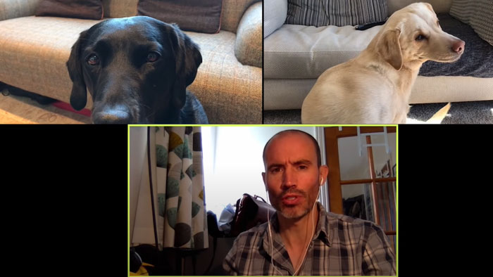 BBC Sports Broadcaster Stuck With Nothing To Report Decides To Hold A Meeting With His Two Dogs And The Video Goes Viral BBC Sports Broadcaster Stuck With Nothing To Report Decides To Hold A Meeting With His Two Dogs And The Video Goes Viral
