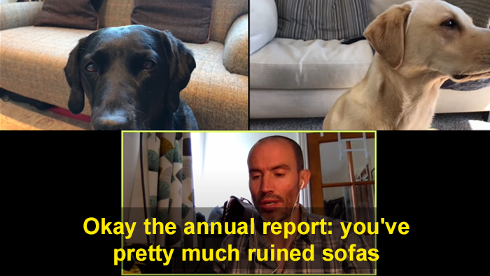 BBC Sports Broadcaster Stuck With Nothing To Report Decides To Hold A Meeting With His Two Dogs And The Video Goes Viral BBC Sports Broadcaster Stuck With Nothing To Report Decides To Hold A Meeting With His Two Dogs And The Video Goes Viral