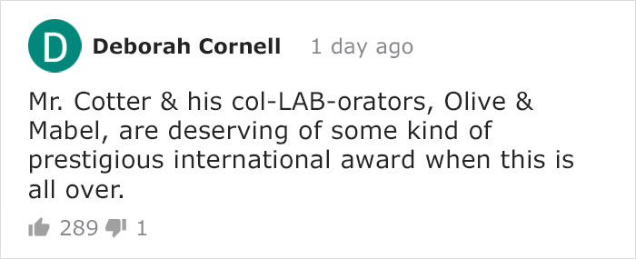 BBC Sports Broadcaster Stuck With Nothing To Report Decides To Hold A Meeting With His Two Dogs And The Video Goes Viral BBC Sports Broadcaster Stuck With Nothing To Report Decides To Hold A Meeting With His Two Dogs And The Video Goes Viral