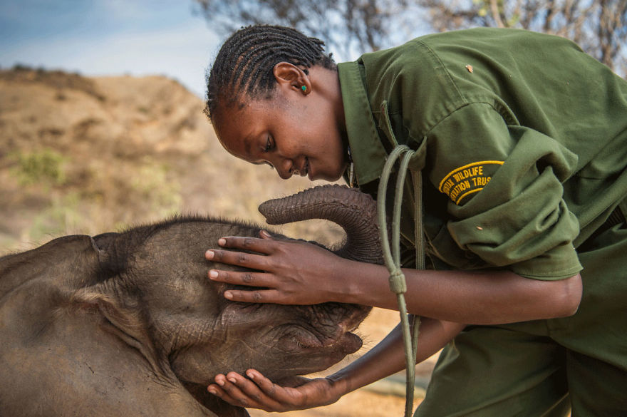 30 Of The Best Shots From The 2020 BigPicture Natural World Photography Competition 30 Of The Best Shots From The 2020 BigPicture Natural World Photography Competition