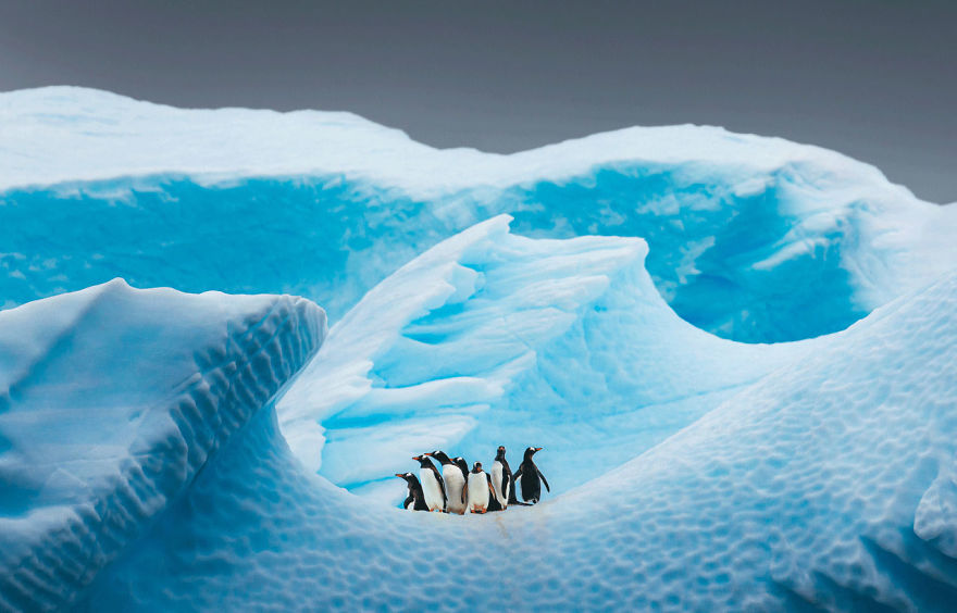 30 Of The Best Shots From The 2020 BigPicture Natural World Photography Competition 30 Of The Best Shots From The 2020 BigPicture Natural World Photography Competition