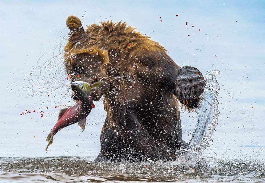 30 Of The Best Shots From The 2020 BigPicture Natural World Photography Competition 30 Of The Best Shots From The 2020 BigPicture Natural World Photography Competition