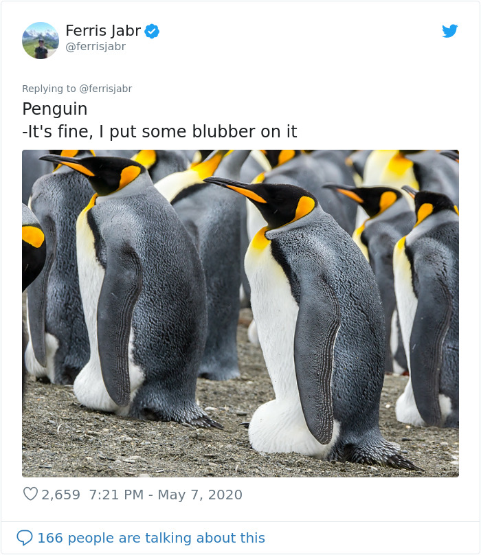 Person Reviews The Incredibly Different Bird Nesting Styles With Ridiculous Commentary (19 Pics) Person Reviews The Incredibly Different Bird Nesting Styles With Ridiculous Commentary (19 Pics)