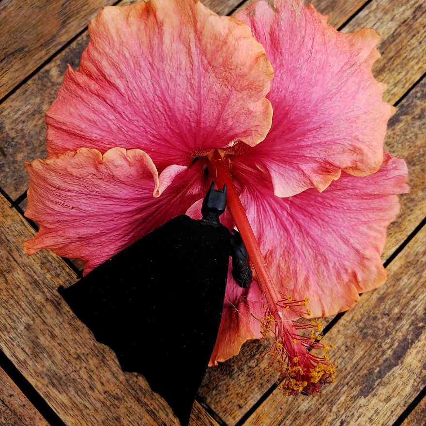 I Post The Everyday Life Of Batman During Self-Isolation (39 Pics) I Post The Everyday Life Of Batman During Self-Isolation (39 Pics)