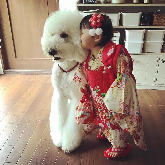 Family’s 3 Poodles Have A Special Bond With Their Little Brother And Sister (30 Pics) Family’s 3 Poodles Have A Special Bond With Their Little Brother And Sister (30 Pics)