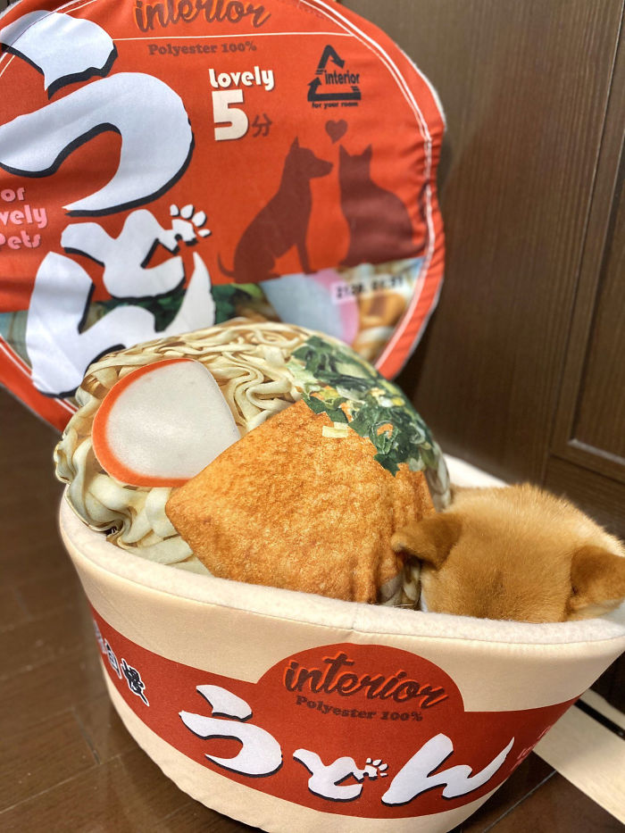 Pet Owners Are Buying Cup Noodle Beds For Their Pets And The Pics Are Ridiculously Cute Pet Owners Are Buying Cup Noodle Beds For Their Pets And The Pics Are Ridiculously Cute