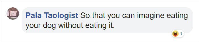 Pet Owners Are Buying Cup Noodle Beds For Their Pets And The Pics Are Ridiculously Cute Pet Owners Are Buying Cup Noodle Beds For Their Pets And The Pics Are Ridiculously Cute