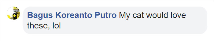 Pet Owners Are Buying Cup Noodle Beds For Their Pets And The Pics Are Ridiculously Cute Pet Owners Are Buying Cup Noodle Beds For Their Pets And The Pics Are Ridiculously Cute