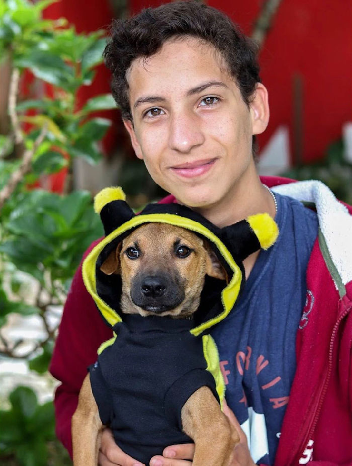 17-Year-Old Opens A Unique Animal Shelter And He Has Already Rescued 22 Dogs And 4 Cats 17-Year-Old Opens A Unique Animal Shelter And He Has Already Rescued 22 Dogs And 4 Cats