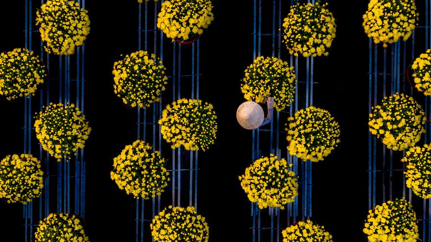 These 49 Photographers Show What Spring Looks Like Around The World