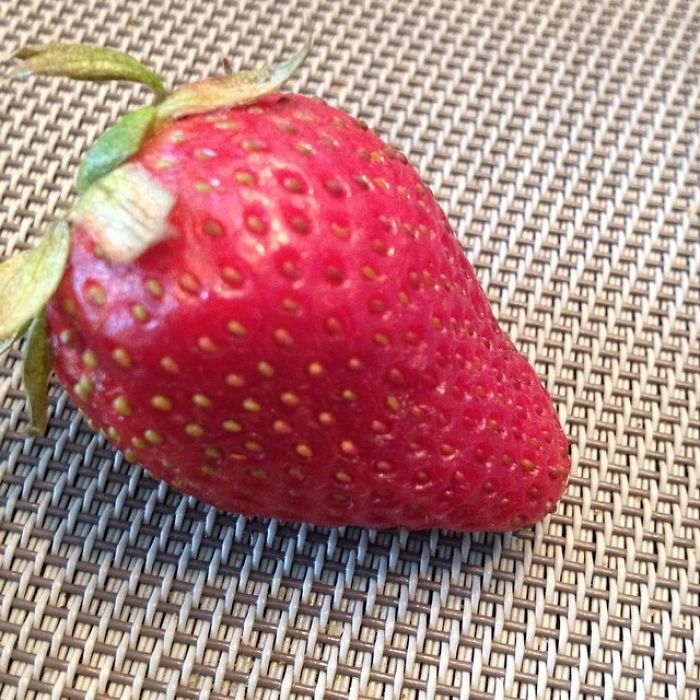 Parents Post The Ridiculous Reasons Their Kids Refuse To Eat Their Food (40 Pics) Parents Post The Ridiculous Reasons Their Kids Refuse To Eat Their Food (40 Pics)