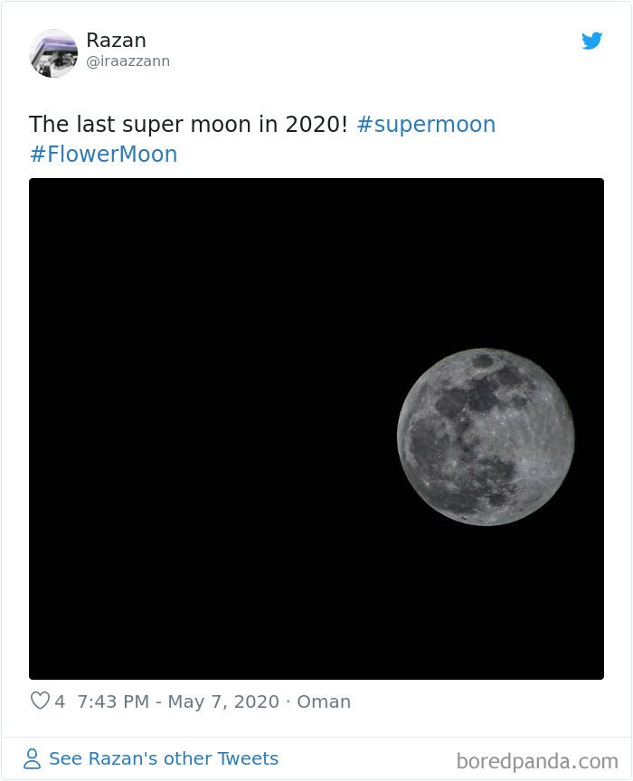 27 People Took Stunning Photos Of The Last Supermoon Of 2020 27 People Took Stunning Photos Of The Last Supermoon Of 2020