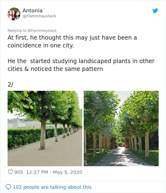 Scientist Discovers That “Tree Sexism” Might Be A Major Reason Behind Many Spring Allergies (Updated) Scientist Discovers That “Tree Sexism” Might Be A Major Reason Behind Many Spring Allergies (Updated)