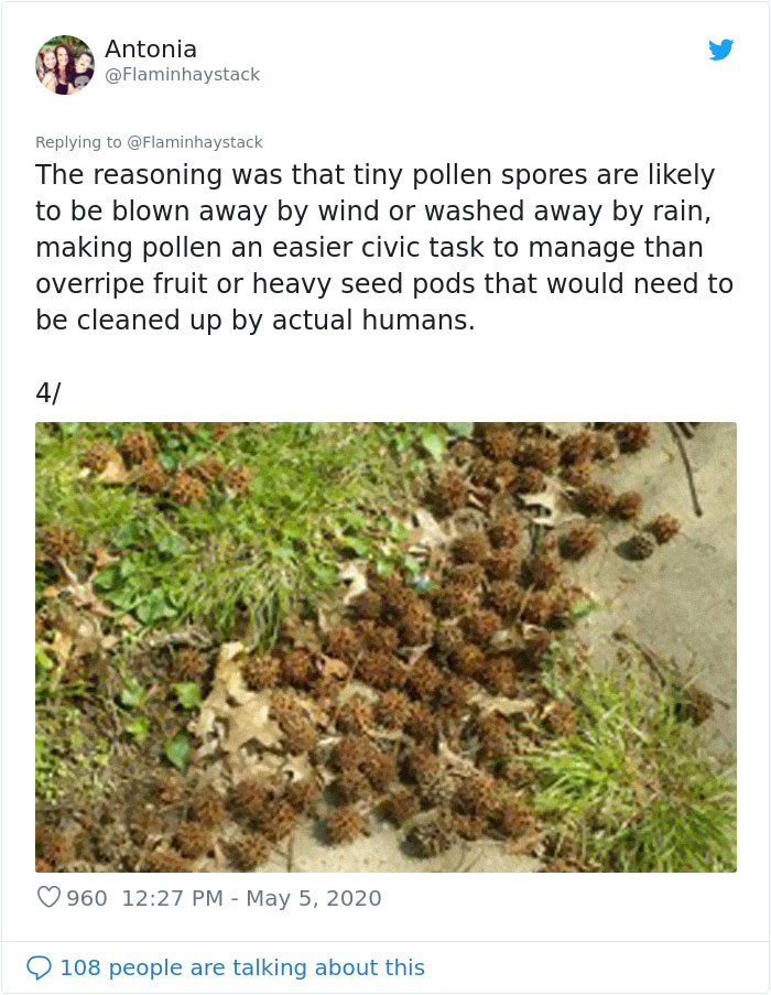 Scientist Discovers That “Tree Sexism” Might Be A Major Reason Behind Many Spring Allergies (Updated) Scientist Discovers That “Tree Sexism” Might Be A Major Reason Behind Many Spring Allergies (Updated)