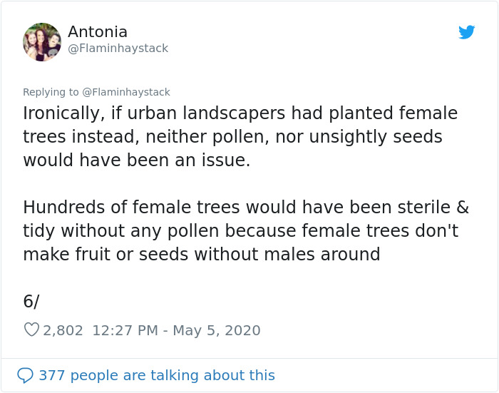Scientist Discovers That “Tree Sexism” Might Be A Major Reason Behind Many Spring Allergies (Updated) Scientist Discovers That “Tree Sexism” Might Be A Major Reason Behind Many Spring Allergies (Updated)